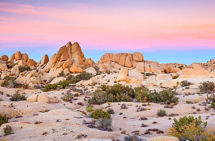 best US desert parks