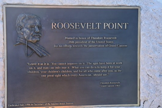 Roosevelt Point birding Roosevelt Point birding