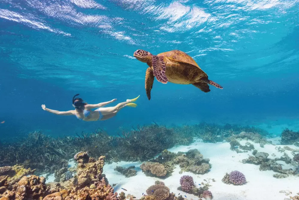 best beaches in Australia