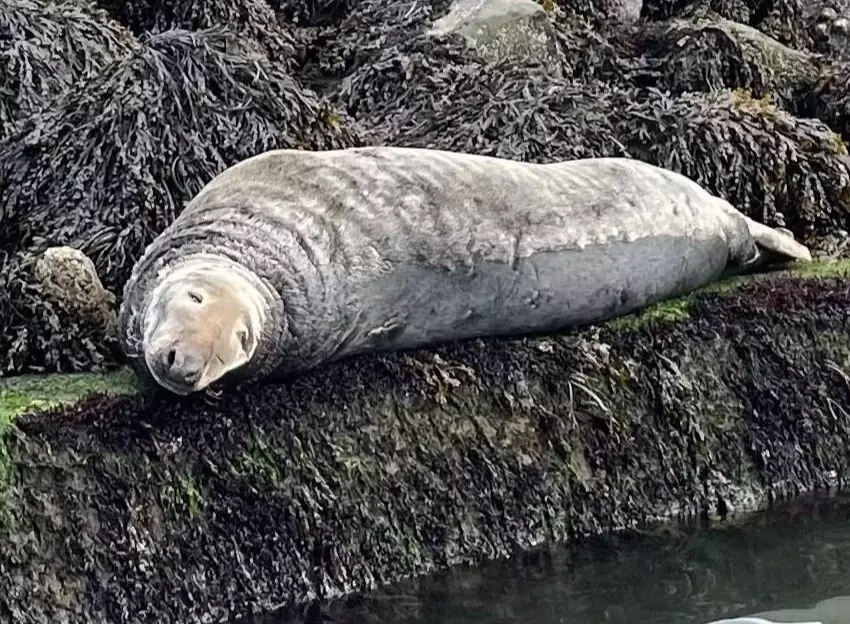 family coastal wildlife tours