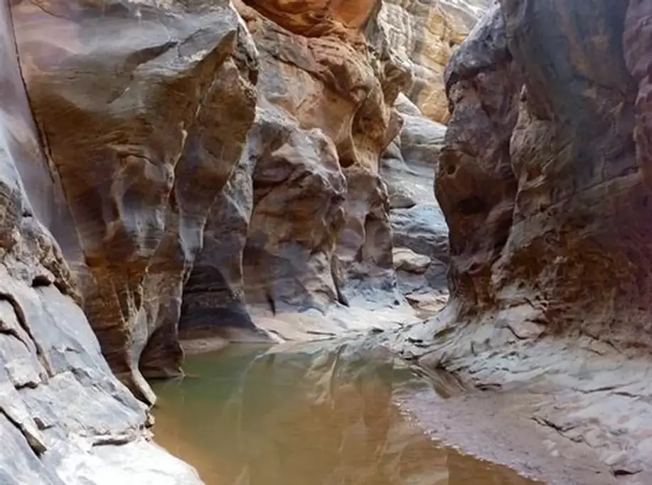 White Canyon Utah map