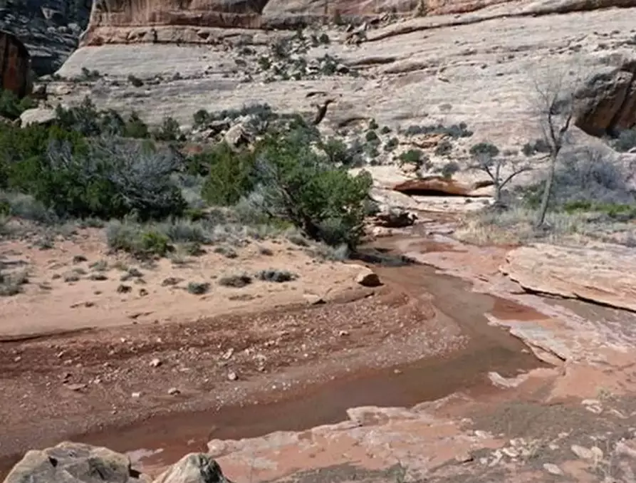 White Canyon Utah map