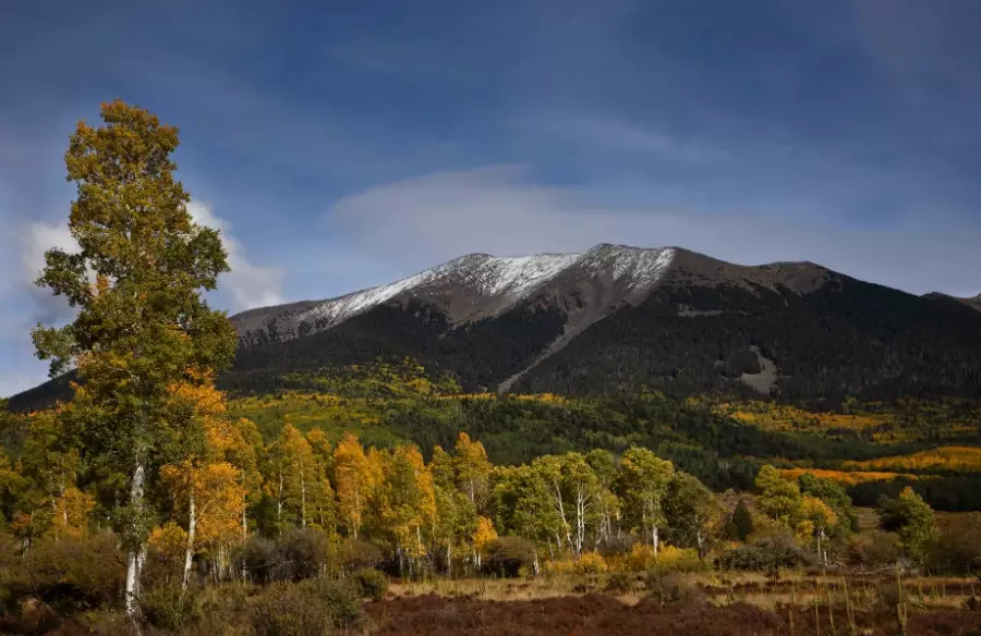 Arizona highest peak trail