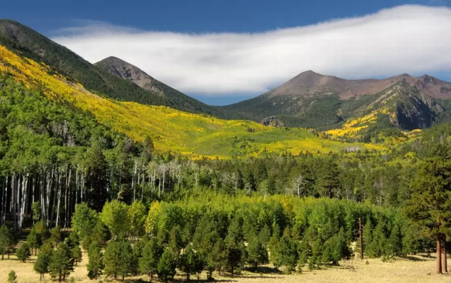 Humphreys Peak hike Humphreys Peak hike