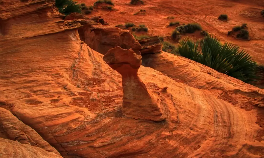 things to do in Little Finland