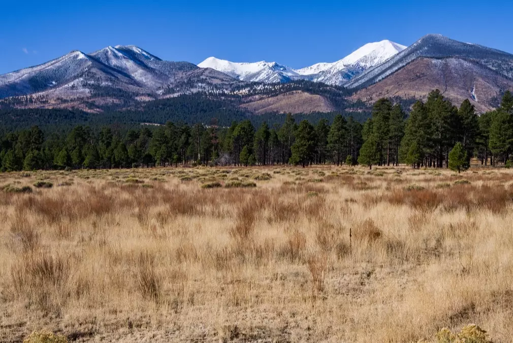 Flagstaff volcano Flagstaff volcano