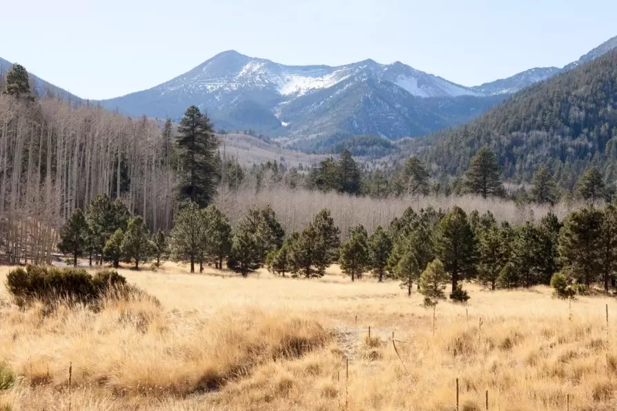 Humphreys Peak hike