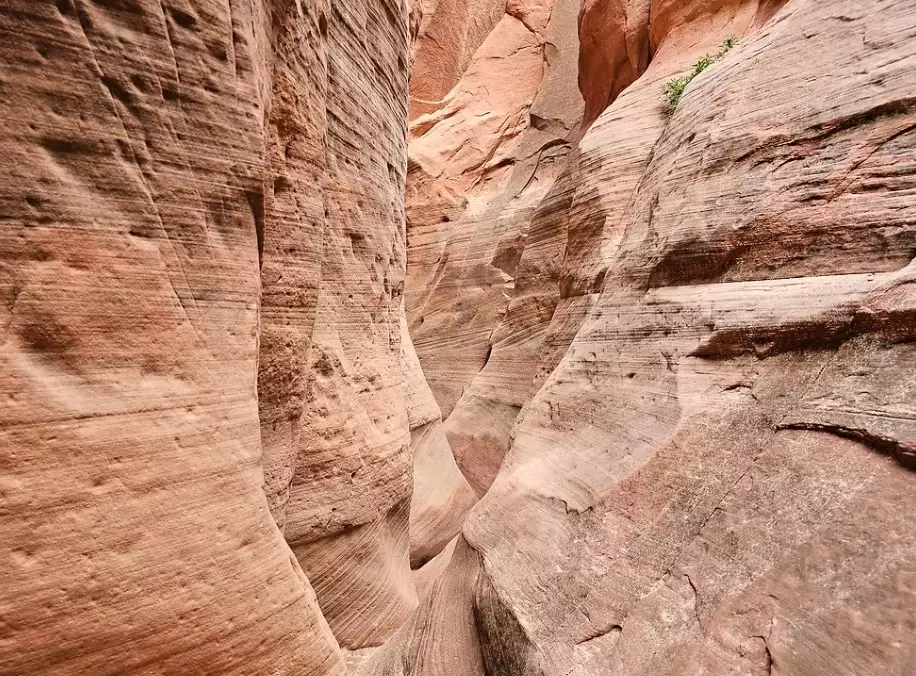 Red Hollow slot canyon photography Red Hollow slot canyon photography