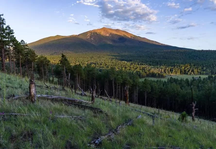 Humphreys Peak trail Humphreys Peak trail