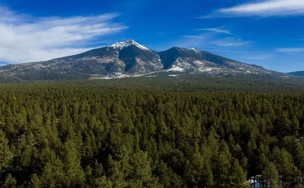 San francisco peaks arizona hike