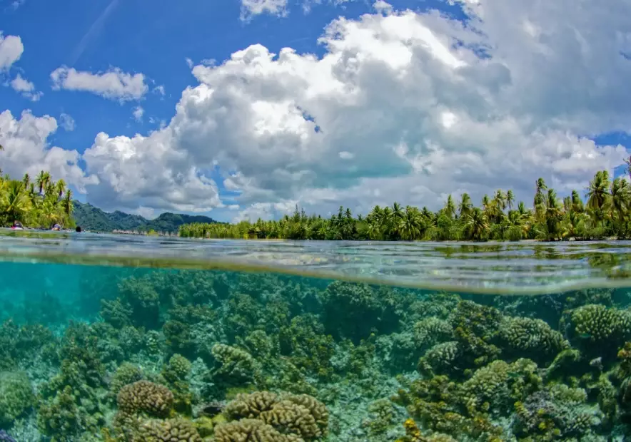 coastal sculpture parks