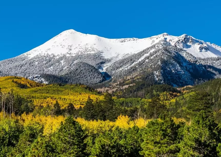 things to do in Flagstaff things to do in Flagstaff