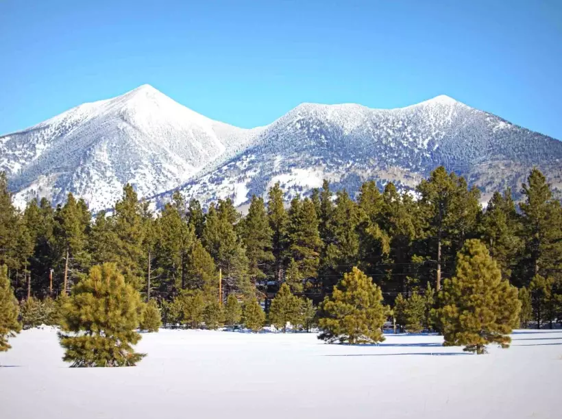 things to do in Flagstaff things to do in Flagstaff