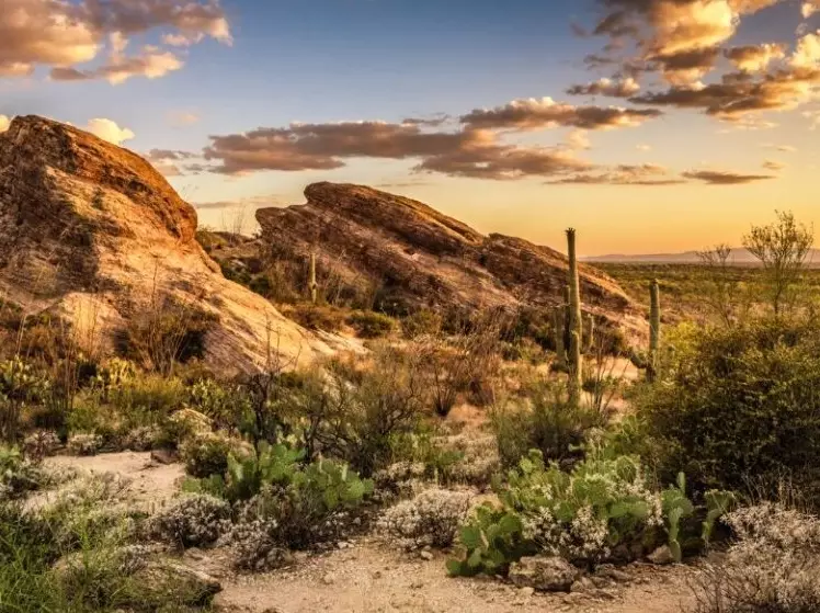 best time to visit Arizona parks